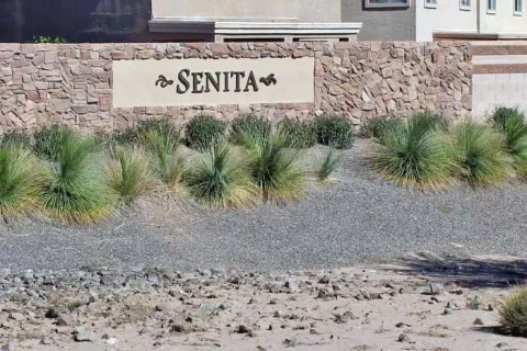 Senita Subdivision in Maricopa