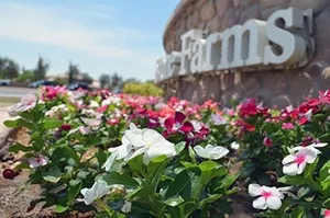 cobblestone farms community top features in maricopa