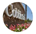 homes-for-sale-cobblestone-farms-community-maricopa