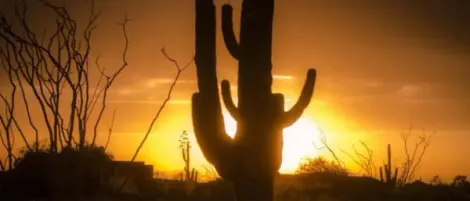 Maricopa Communities