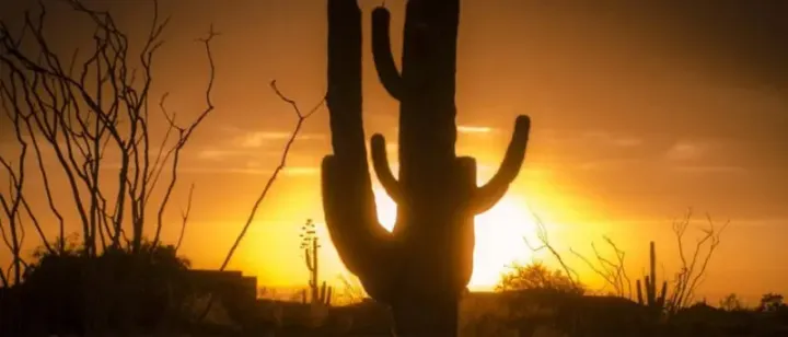 Buy Your Dream Home In Maricopa Communities Today!