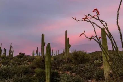 Find Homes For Sale In Spanish Trails West With 30 Year Fixed Financing