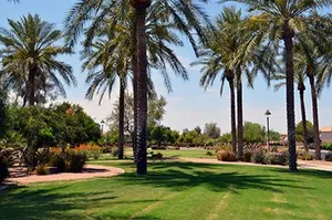 walking paths parks throughout the neightborhood