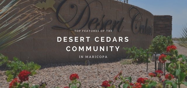 Top Features of the Desert Cedars Community in Maricopa