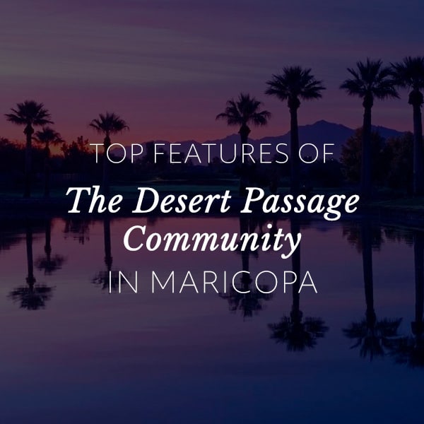 Top Features of The Desert Passage Community in Maricopa