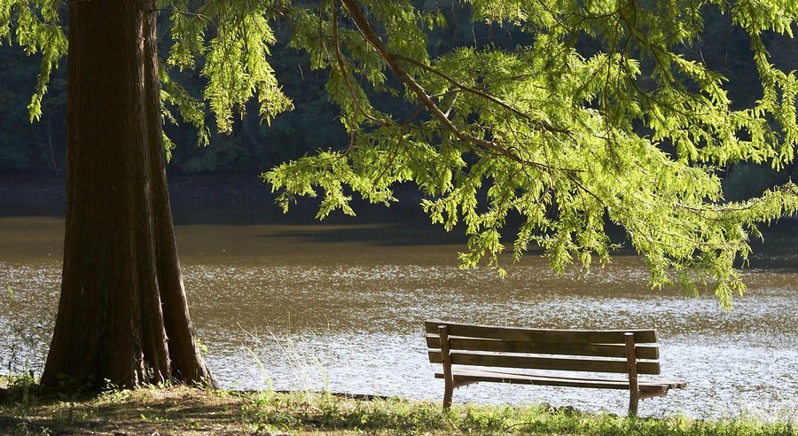 homes-for-sale-maricopa-best-parks Homes For Sale In Maricopa With The Best Parks