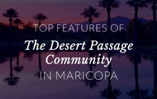 Top Features of The Desert Passage Community in Maricopa